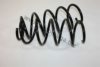 AUTOMEGA 3003120345 Coil Spring